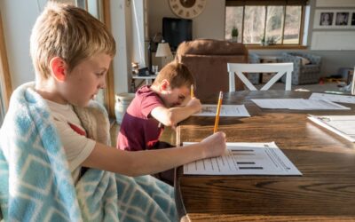 The Setbacks And Downfalls Of Homeschooling 