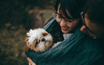 How Owning A Pet Can Affect Your Family’s Relationship